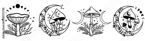 Fotografie, Obraz Celestial Mystical boho mushrooms, magic mushroom with moon and stars, witchcraft symbol, witchy esoteric objects, floral mystical elements fungi, fungus