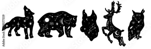 Hand drawn collection of celestial wild animals