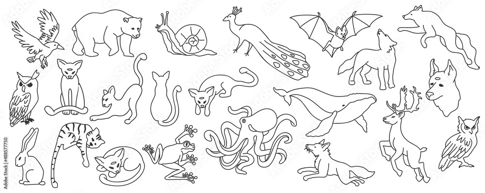 Vector isolated line art set of wild animals