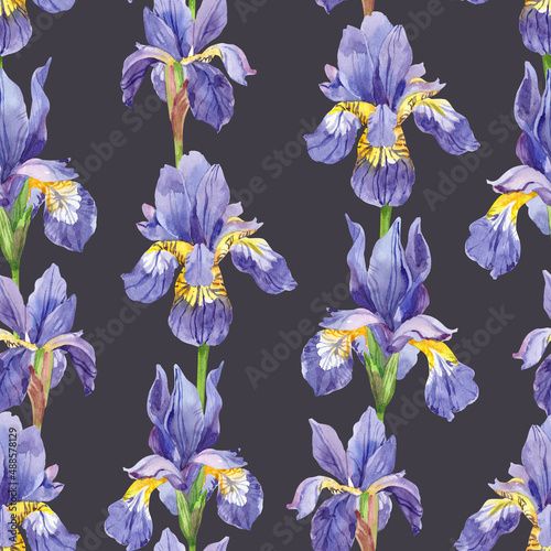 Fototapeta Naklejka Na Ścianę i Meble -  Watercolor hand painted iris plant flower. Watercolor illustration seamless pattern, wallpaper, wrapping paper, aromatherapy, essential oils