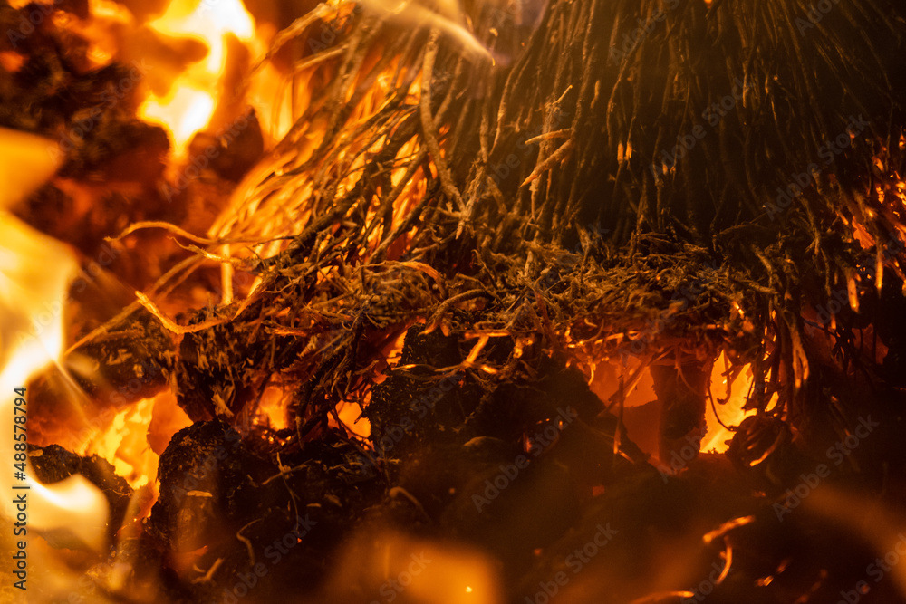Close up view of flames. Sparks from the bonfire Close up view of flames. Sparks from the bonfire