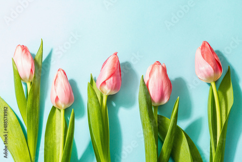 Fresh flower composition, a bouquet of pink tulips, isolated on a white background