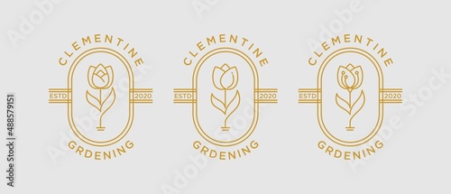 Group set Rose flower petal line and branch with leaves vector logo emblem design template illustration simple linear style
