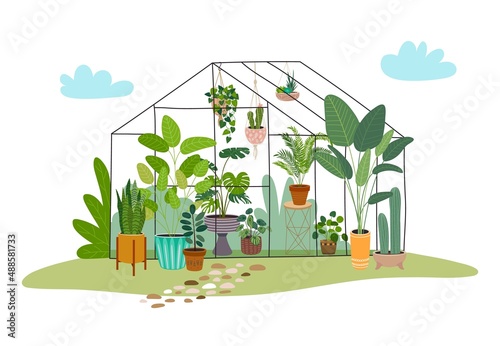 Greenhouse. Gardening, pot green plants. Farm garden, summer seasonal cute flowerpot. Floral background, greenery blooming classy vector print