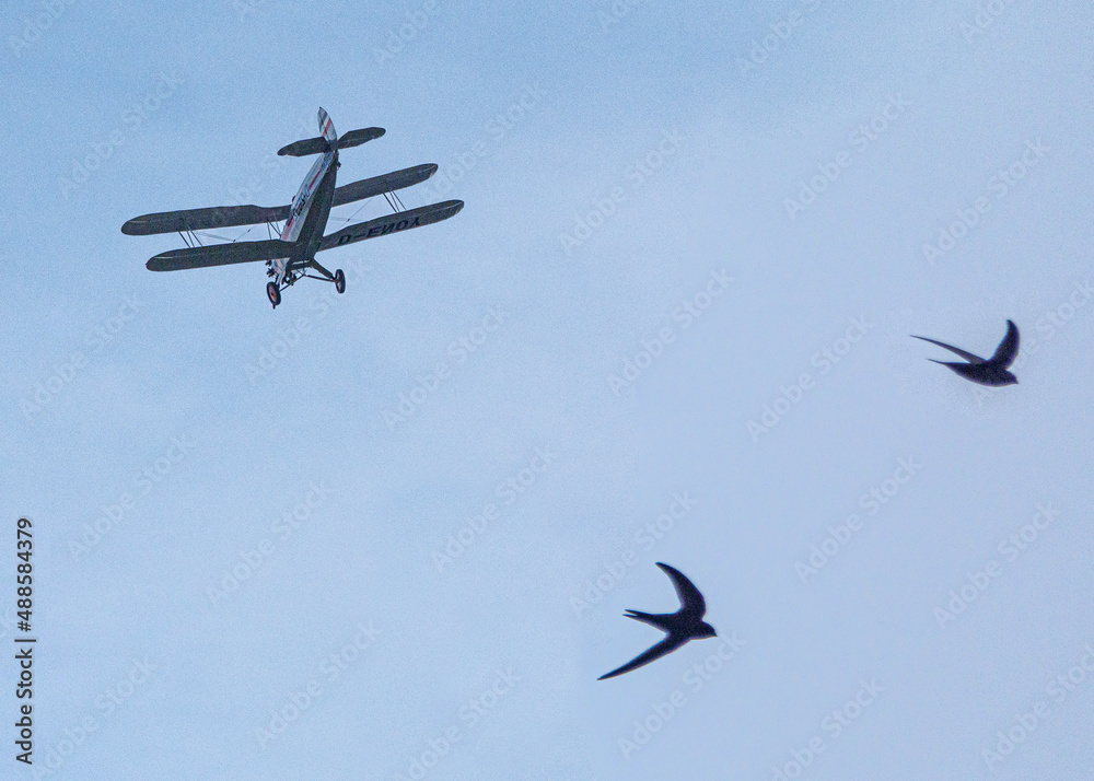 Oldtimer Flugzeug, Doppeldecker und Vögel im Flug, Schwalben, Mauersegler, Doppelbelichtung, Baden-Baden, Baden-Württemberg, Deutschland Oldtimer Flugzeug, Doppeldecker und Vögel im Flug, Schwalben, Mauersegler, Doppelbelichtung, Baden-Baden, Baden-Württemberg, Deutschland