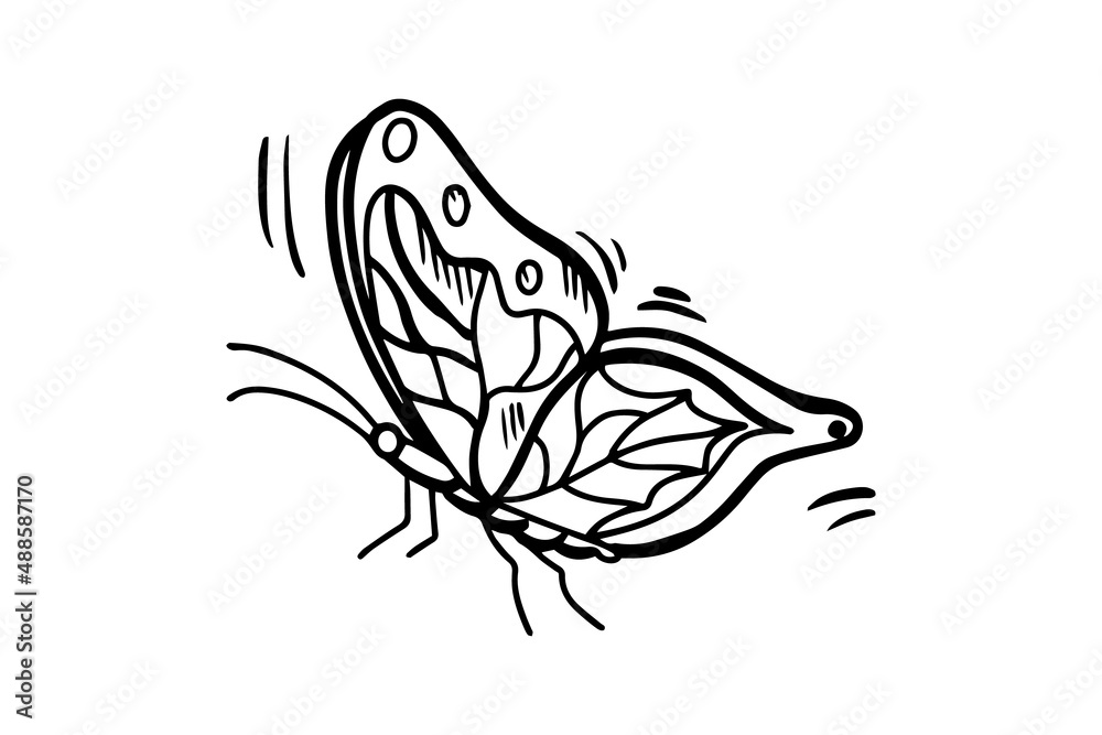 the butterfly is drawn with a black outline. Vector graphics, sketch. Vector illustration the butterfly is drawn with a black outline. Vector graphics, sketch. Vector illustration