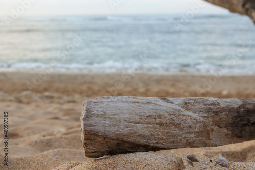 wood on the beach, blurred background