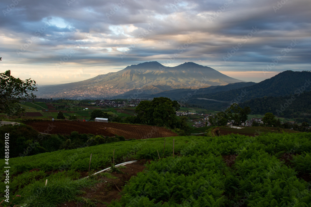 beautiful view of farmland in a tropical village beautiful view of farmland in a tropical village