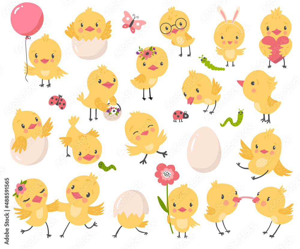 Cute chicken set, vector illustration Cute chicken set, vector illustration
