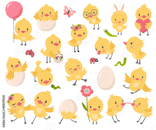 Cute chicken set, vector illustration