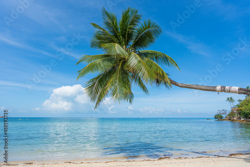 Fototapeta Naklejka Na Ścianę i Meble -  Beautiful tropical beach with coconut palm tree on white sand with ocean view , Thailand