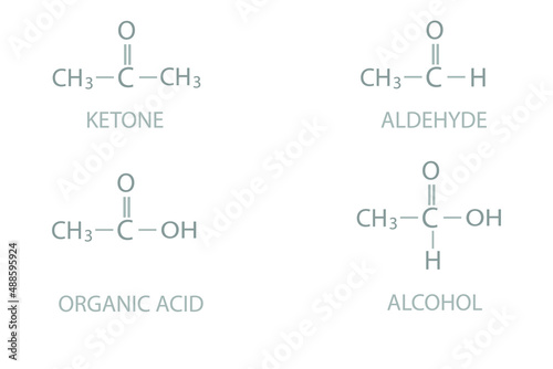 Obraz na plátně Categories of organic molecules based on functional groups.
