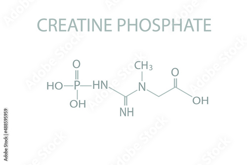Creatine phosphate molecular skeletal chemical formula.	