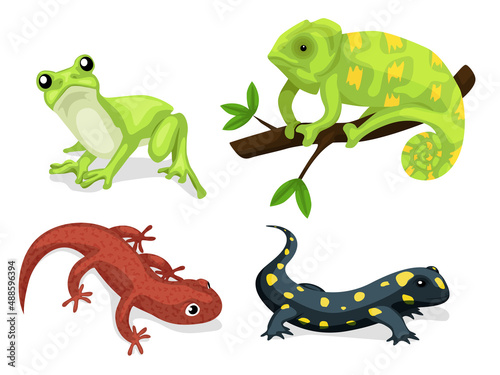 Reptiles and amphibians. Cartoon frog  chameleon  crocodile  lizard and turtle  wildlife animals. Cartoon exotic amphibian and reptiles