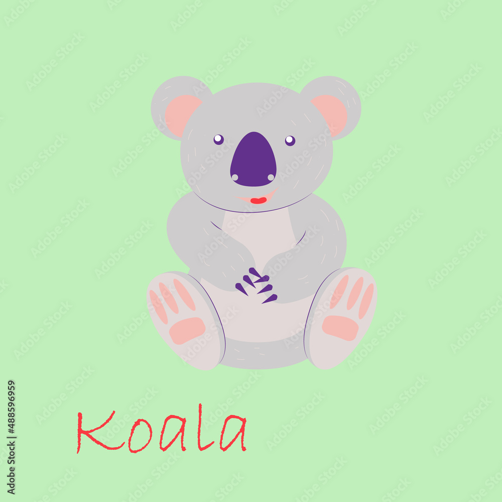koala koala