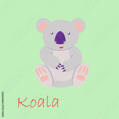 Photography koala