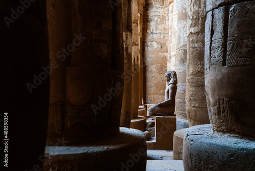 Statue of pharaoh in Hypostyle hall photo