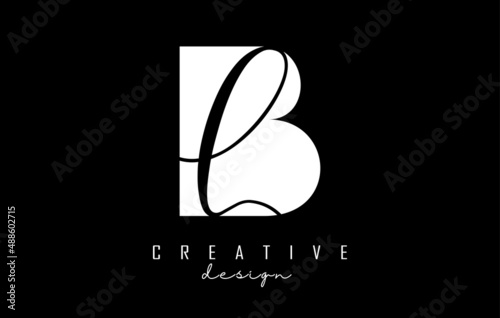 Black and white BL Letters logo with negative space. Letters B and L with geometric and handwritten typography.