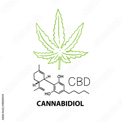 Cannabidiol CBD banner concept with chemical formula and hemp cannabis leaf. Vector illustration banner in outline style isolated on white background