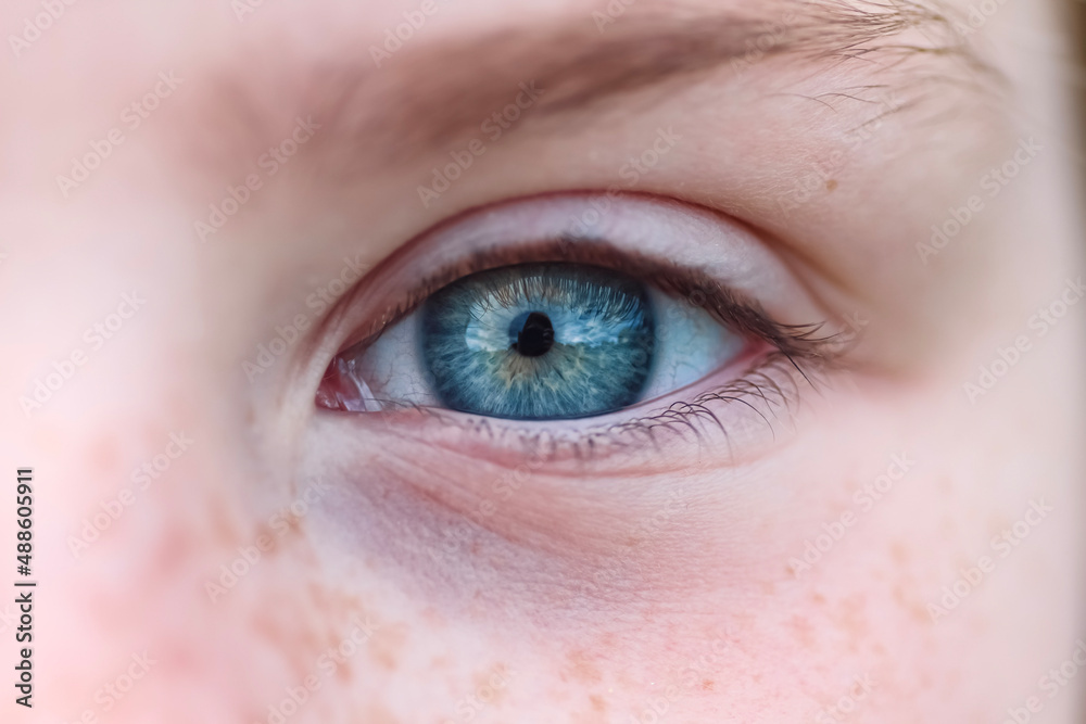 Obraz premium close up of eye