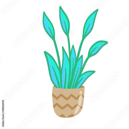 Potted plant. Homemade Blue leaves of houseplant. Gardening and botany. Brown pot and House decoration. Flat illustration