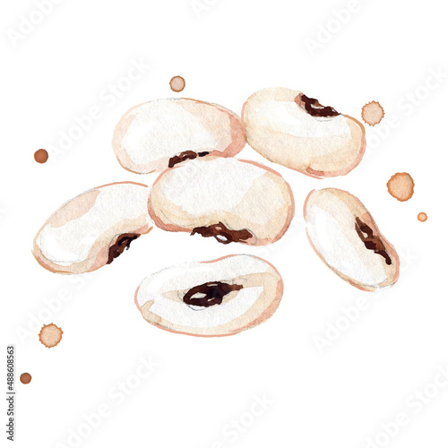 fresh white beans  watercolor painting