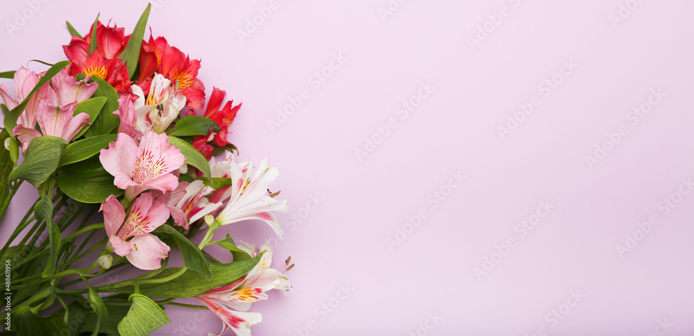 Beautiful flowers on pale purple background, flat lay. Space for text Beautiful flowers on pale purple background, flat lay. Space for text