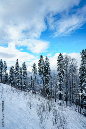 winter panorama of mountain forest with snow covered fir trees © EwaStudio