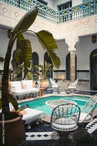 ryad marrakech indoor plante morocco  photo