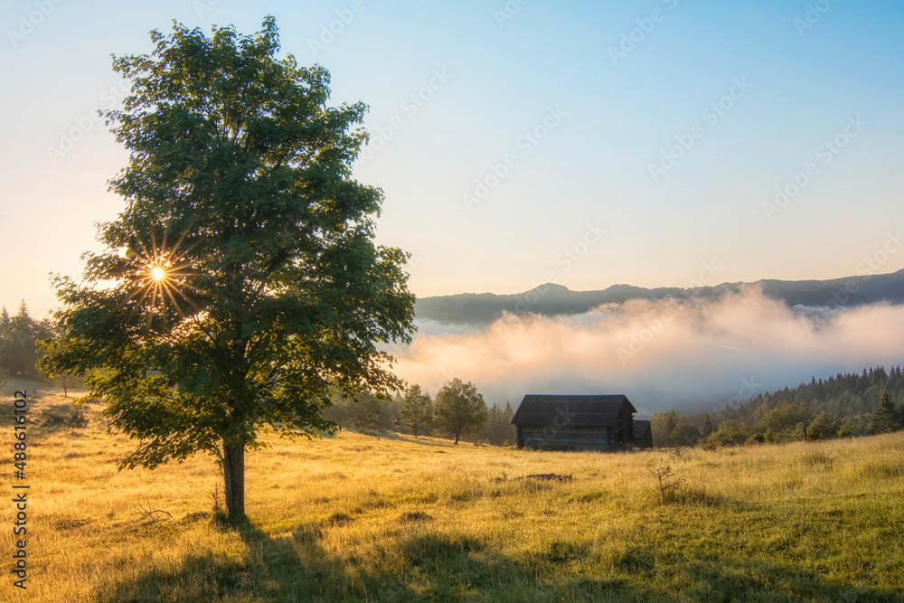 The morning rays of the sun break through the branches of the trees. Dawn in the mountains. Fog and haze on the tops of the mountains. The morning rays of the sun break through the branches of the trees. Dawn in the mountains. Fog and haze on the tops of the mountains.