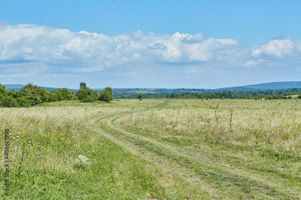 A rural path in a meadow winds through grass and bushes. The concept of travel and adventure.