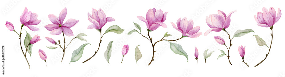 Watercolor pink Flowers. Hand painted illustration of blooming purple Magnolia. Botanical set for wedding invitations or postcards