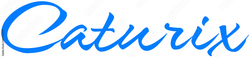 Caturix Caturix