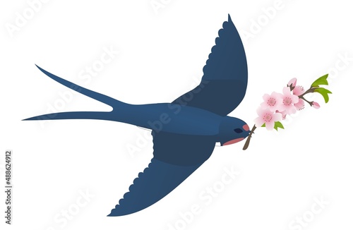 Flying swallow with a sakura branch. Vector cartoon Illustration.