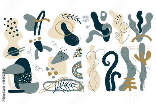 Set of shapes and geometric abstraction and decorative line art elements in boho style with plants