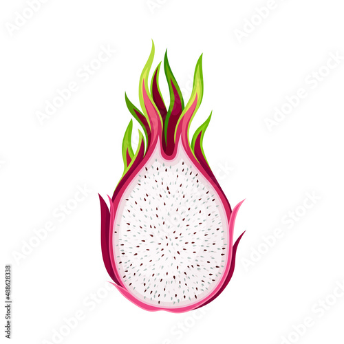 Half of Pitaya or Pitahaya Fruit of Cactus Species with White Flesh and Black, Crunchy Seed Vector Illustration