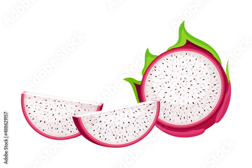 Cut Pitaya or Pitahaya Fruit of Cactus Species with White Flesh and Black, Crunchy Seed Vector Illustration