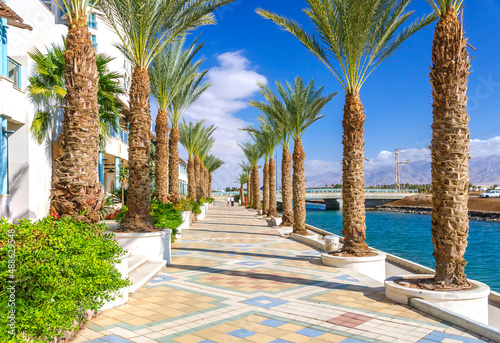 Walking promenade among palms near the Red Sea, Middle East Fototapet