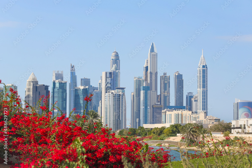 Obraz premium Modern Dubai skyline with flowers in foreground, Colorful red flowers frame the view of Dubai’s modern skyscrapers under clear blue sky, combining nature and urban architecture beautifully.