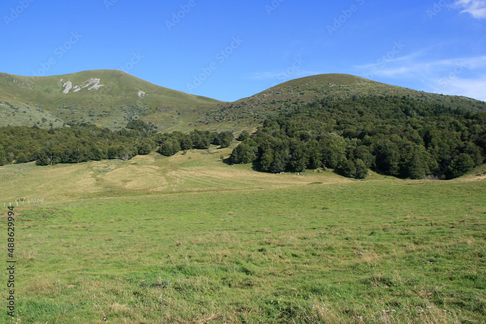 Obraz premium countryside around le mont-dore - auvergne - france 