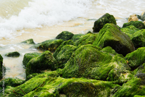 Sandy beach mossy rocks water. A pile of stones covered with algae on the seashore is washed by the waves.