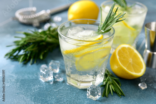 Delicious lemon cocktail with rosemary in a glasses.