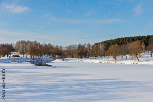 winter landscape with snow © Dmitry