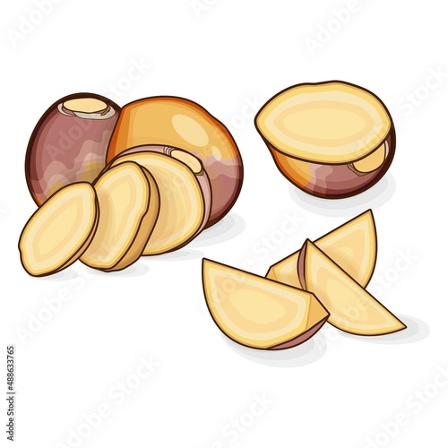 Whole, quarter and slices of rutabaga for banners, flyers, posters, cards. Root of swede. Organic root vegetables. Cartoon style. Vector illustration isolated on white background