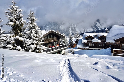 ski resort in the mountains with wooden chalets on the slopes © raeva