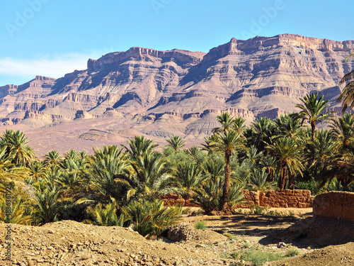 Palms growing in small oasis, rocky massifs in background - typical scenery in southern Atlas, Morocco