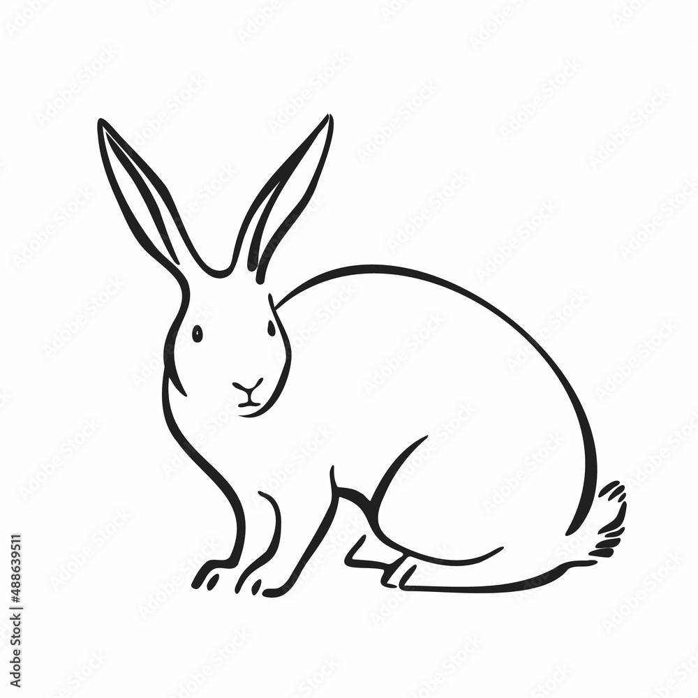 Outline rabbit graphic image. Hand drawn hare black isolated on white backgroud. Animal pet illustration Outline rabbit graphic image. Hand drawn hare black isolated on white backgroud. Animal pet illustration