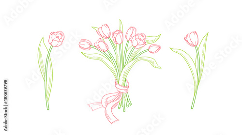 Vector line art set of blooming spring flowers. Tulip flower bouquet line art. Symbol for Women's Day, Mothers Day. Isolated tulips on white background. Design linear artwork tulips element.Springtime