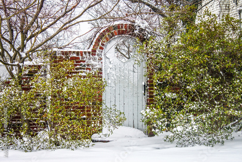 Garden gate in the snow - Wooden with octagan cutout in brick fence with arch and green bushes but bare winter branches behind. photo