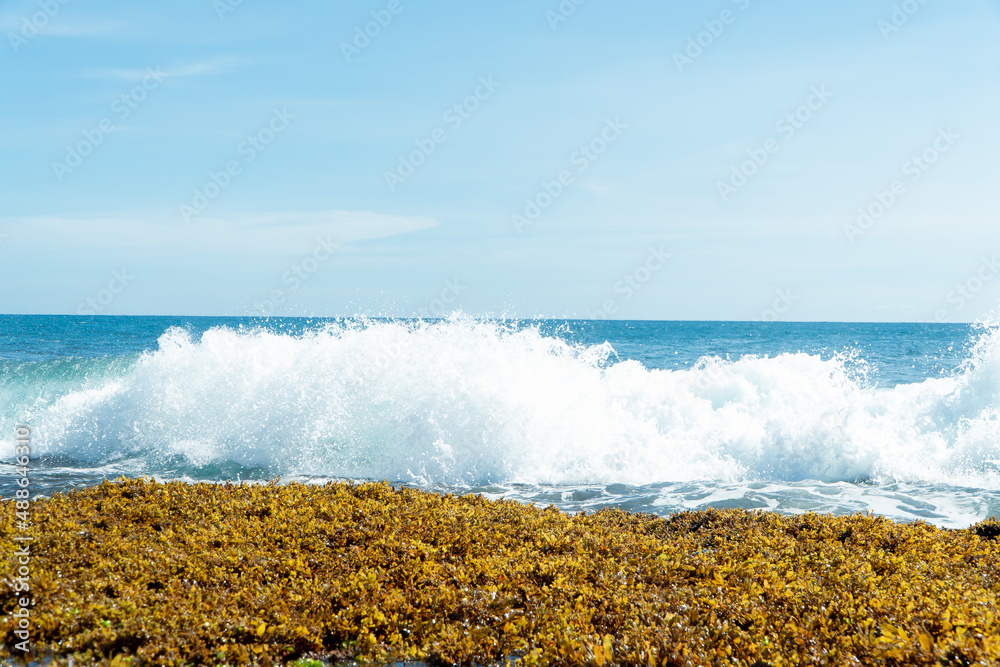 waves on the beach hitting coral reefs on the surface in Sukabumi ...